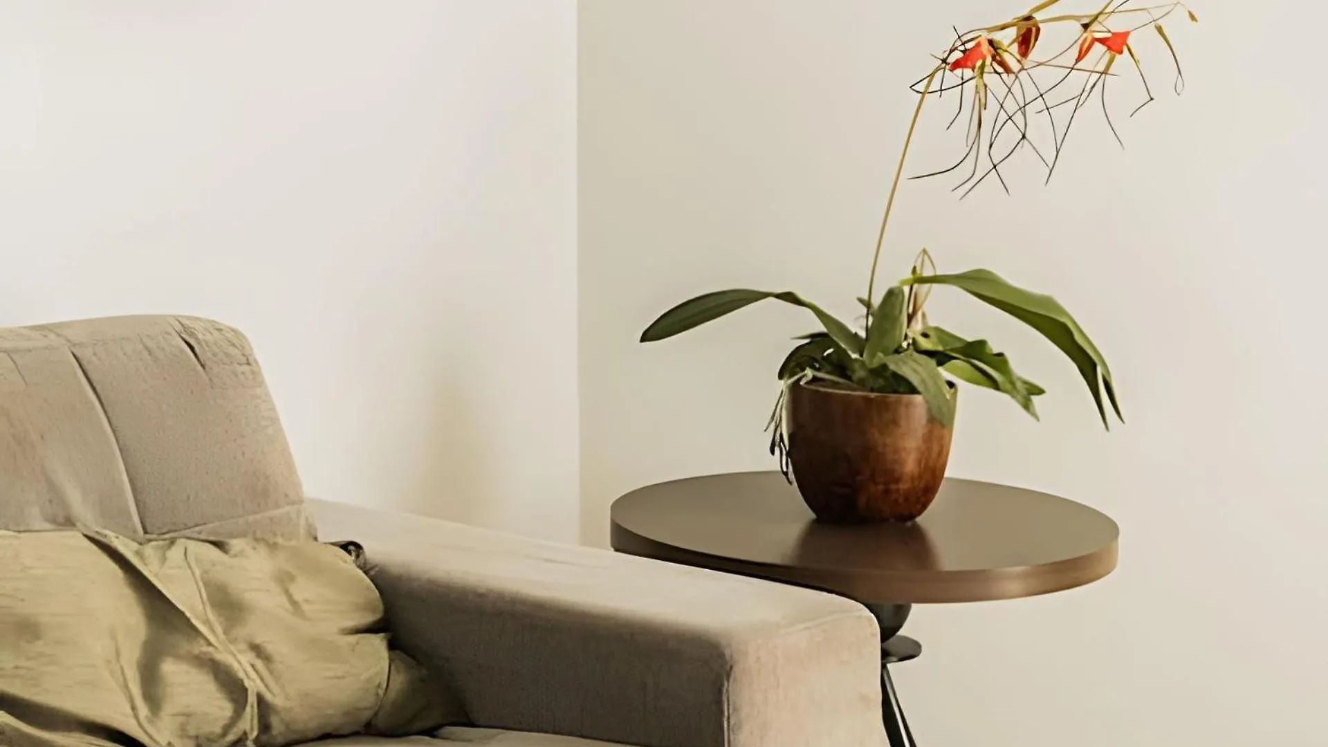 Bonaparte Hotel - Excelente Apartamento #503 Brasilia 0*,  Brazil